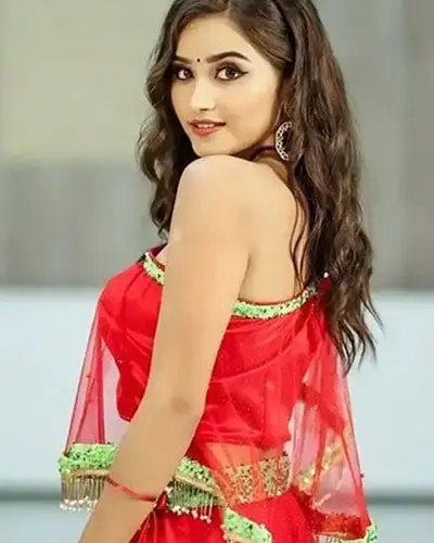 Escort In Himmatnagar